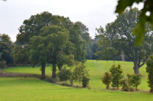 Cranleigh Society - Brownfield before Green Field development