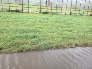 West Cranleigh Nurseries Alfold Road Flooding