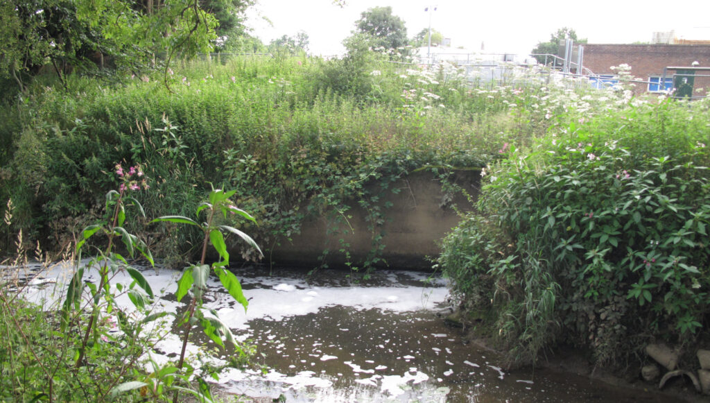 Cranleigh waters sewage works discharge point