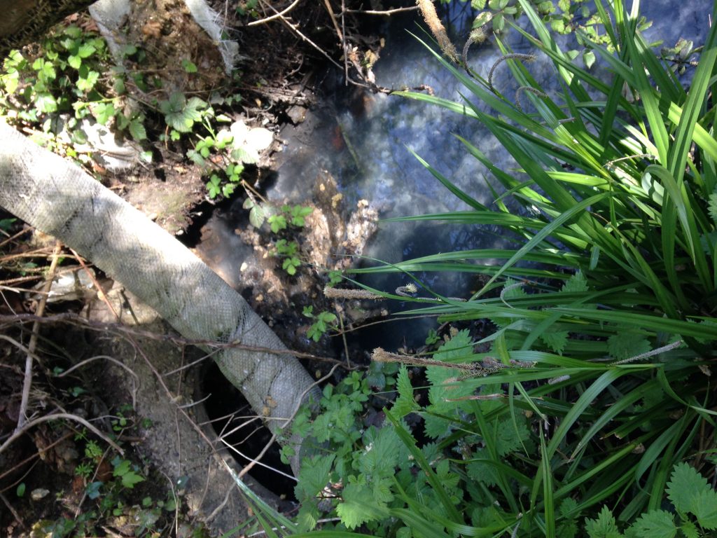 4 May 2016 Brook Cranleigh sewage fungus