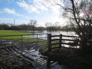 Thakeham Homes site Jan 2015